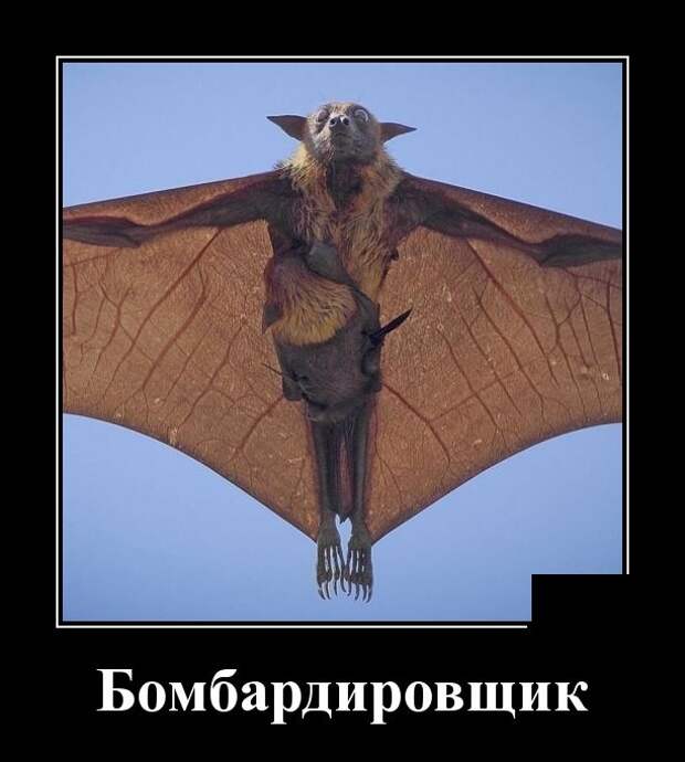 www.vsyako.net
