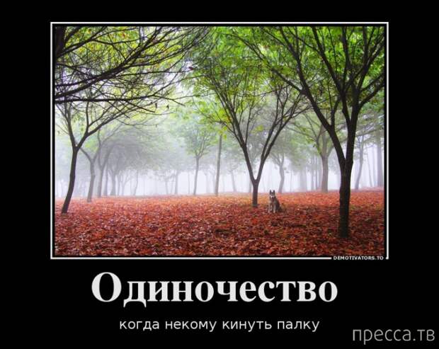 Самые злобные демотиваторы, часть 94 (46 фото)