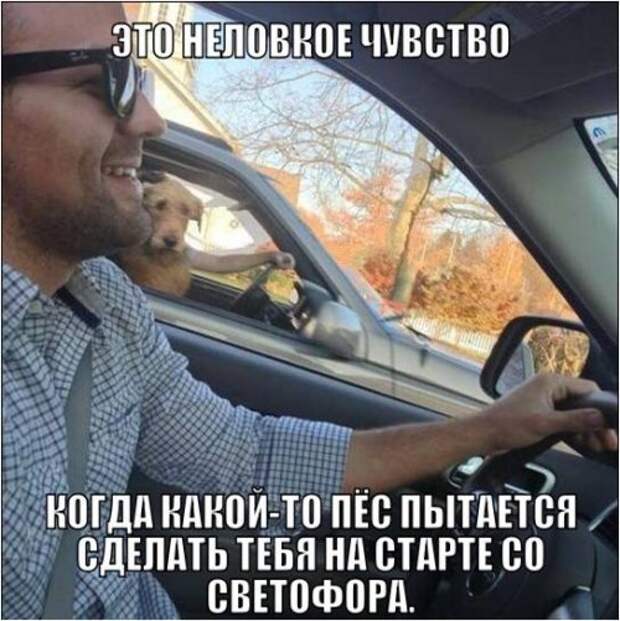 Фотоприколы на автотематику (26 фото)