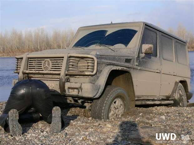 Маразмы на дорогах (85)