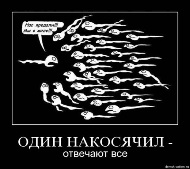 Демотиваторы, будет смешно много новых и прикольных!