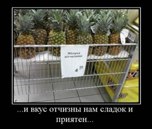 Демотиваторы приколы картинки, заряд отличного настроения!