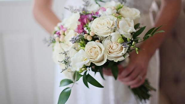 А вместо букетов – собаки: необычное пожелание невесты растрогало гостей