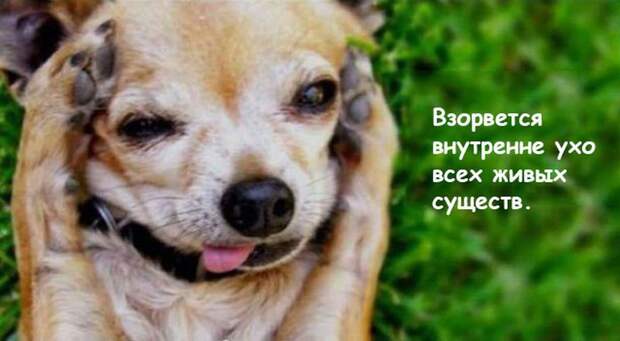 Что случится на Земле, если кислород пропадет на 5 секунд Что случится на Земле, если кислород пропадет на 5 секунд