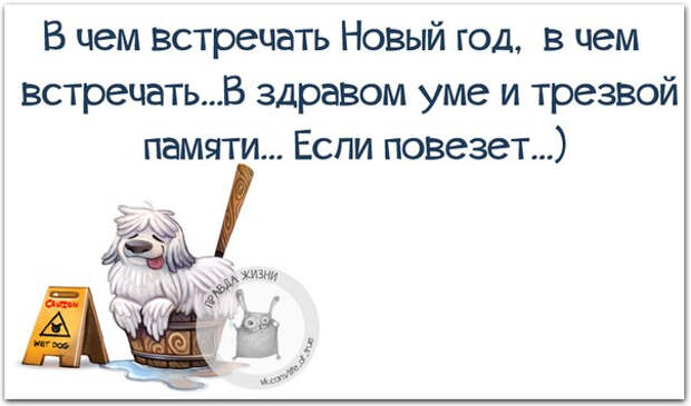 Немного новогодней «Правды жизни» (30 картинок)