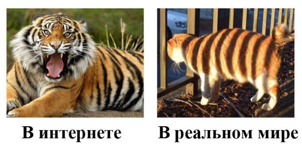 Различия людей в интернете и в реальной жизни (19 фото)