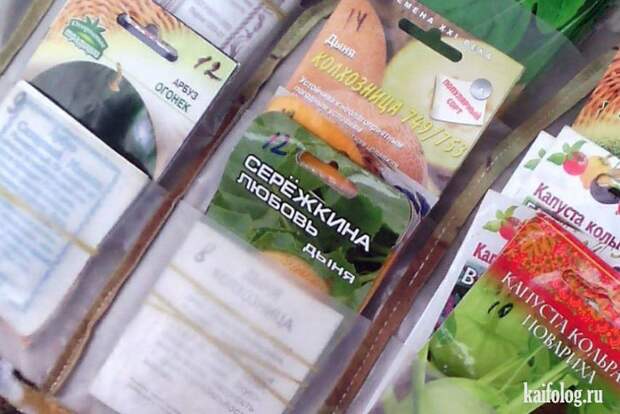 Прикольные семена (35 фото)