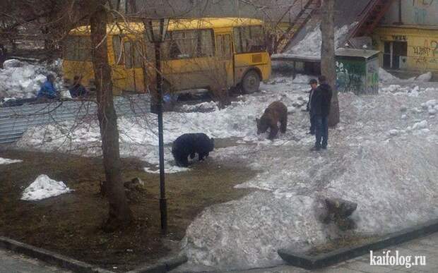 Необычные домашние животные (55 фото) Необычные домашние животные (55 фото)