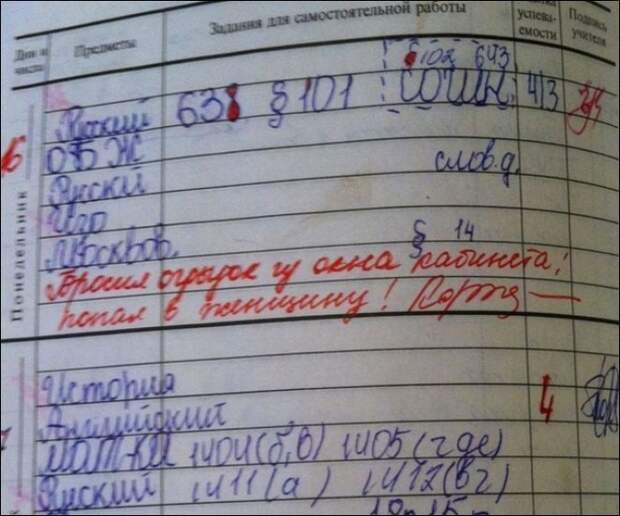 Юмор из школьных дневников (15 фото)