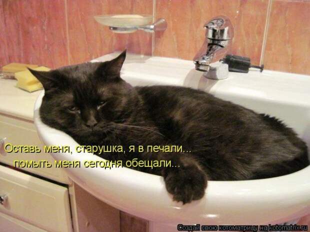 Мысли вслух :)
