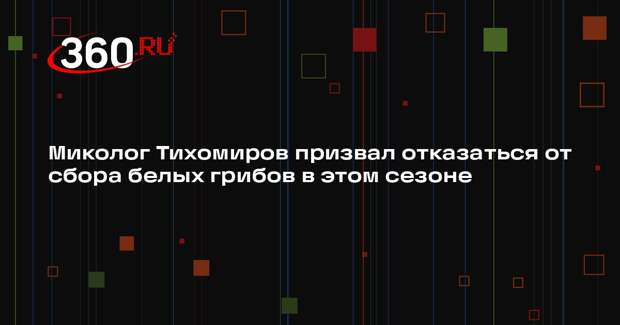 Миколог Тихомиров призвал отказаться от сбора белых грибов в этом сезоне