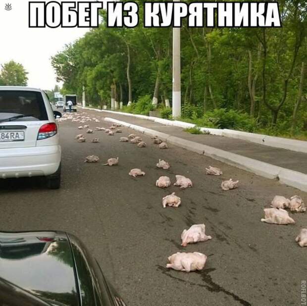 Дорожные странности и комизмы 29