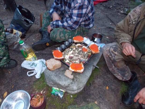 14 дней на Кольском полуострове 14 дней на Кольском полуострове интересное, остров, отпуск, путешествие, россия