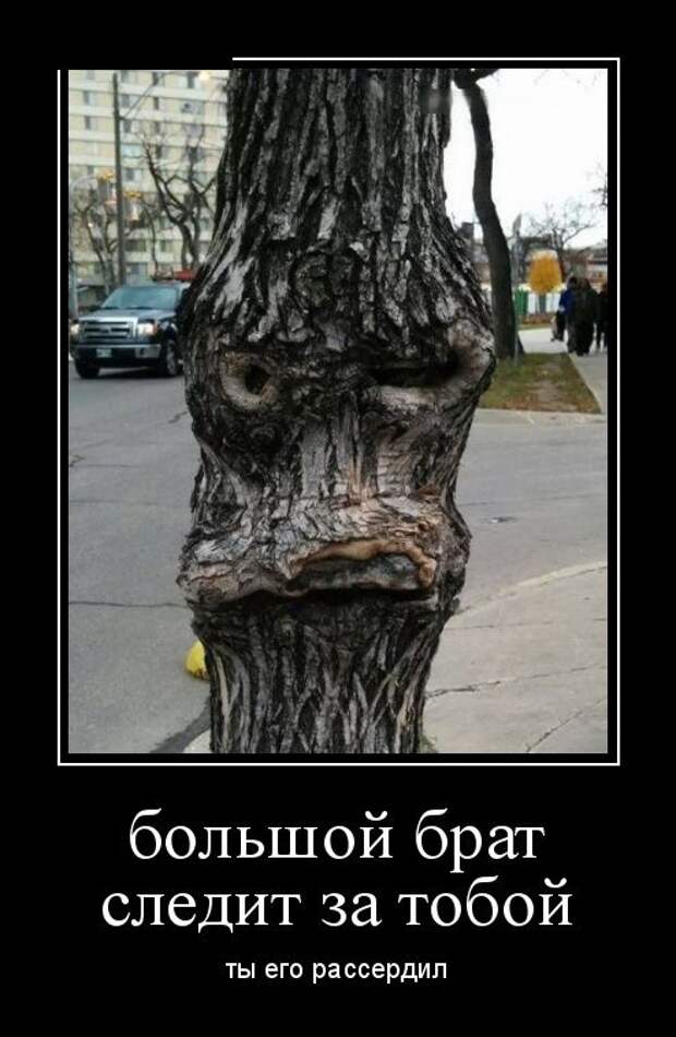 Демотиваторы №1202 (30 фото) Демотиваторы №1202 (30 фото)