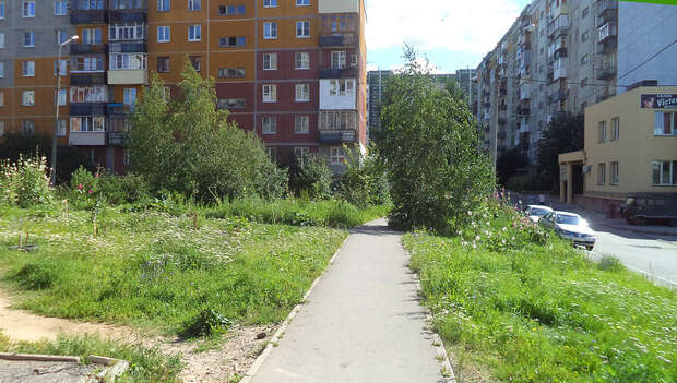 OMD2-7.jpg OMD2-7.jpg
