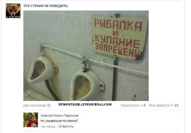 Смешные комментарии из социальных сетей Смешные комментарии из социальных сетей комментарии, прикол, соц сети