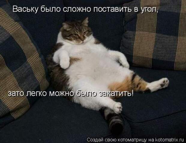 Котоматрица
