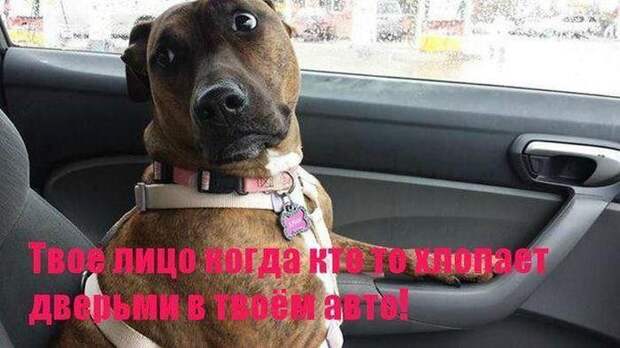 Автомобильный юмор авто, юмор