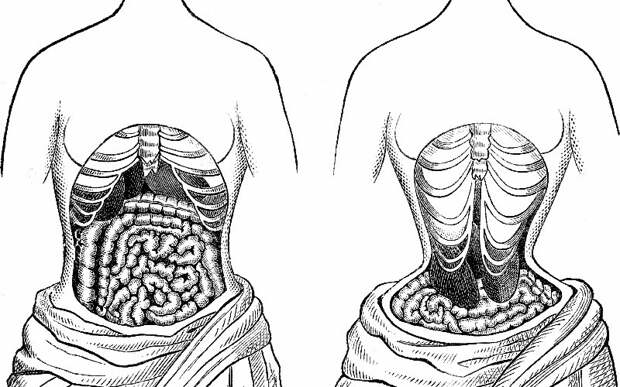 bra10 Принять на грудь: всемирная история бюстгальтера