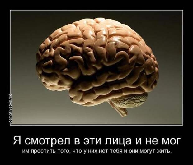 Улётные демотиваторы - пик веселья