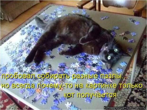 Котоматрицы (картинки с надписями)