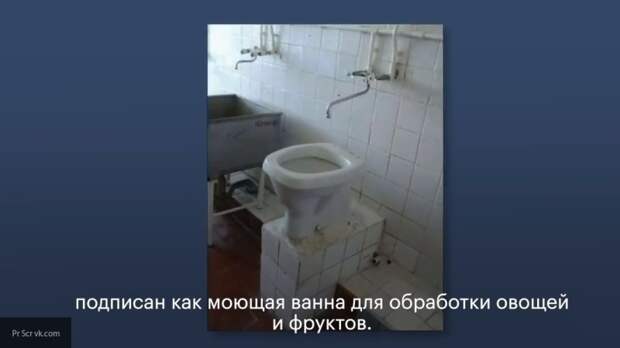 Ворует деньги, хамит и кормит фейками: как работает ОПГ Навального Ворует деньги, хамит и кормит фейками: как работает ОПГ Навального
