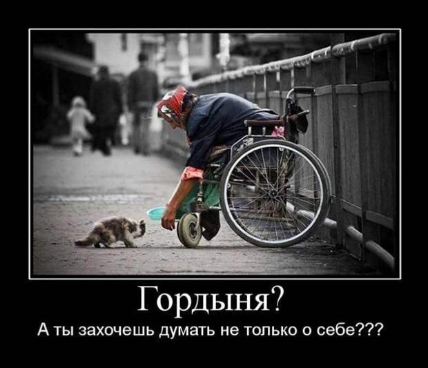 Демотиваторы (133 картинки)
