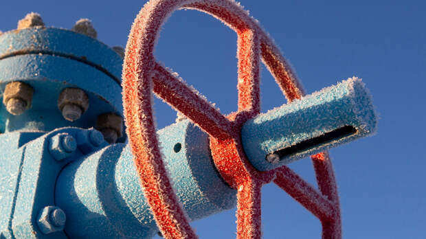 Специалист рассказал о политической логике в решении ЕС ввести запрет на российский газ