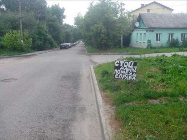 автопозитив