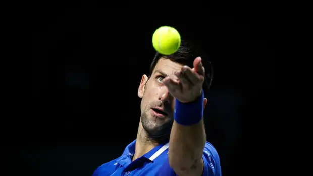 Удовлетворение апелляции и возможность депортации: что известно о ситуации с Джоковичем