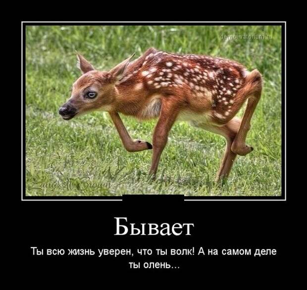 Демотиваторы демотиваторы, прикол, смех, юмор