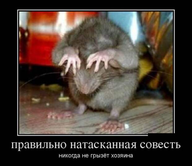 Демотиваторы (30 фото) Демотиваторы (30 фото)