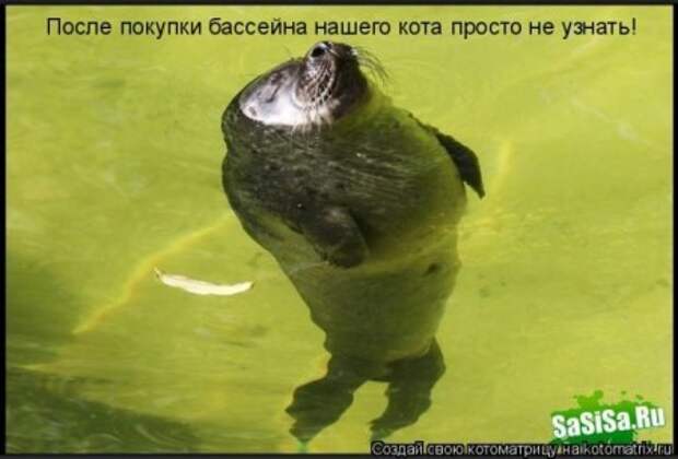 Давайте улыбаться вместе :)