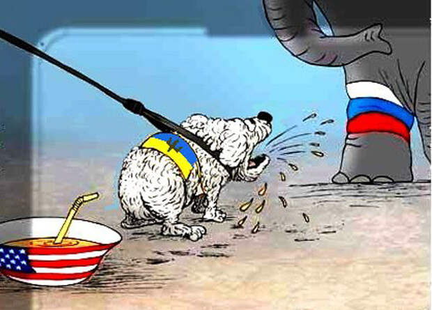 http://content-21.foto.mail.ru/bk/tennis911/_answers/i-443.jpg