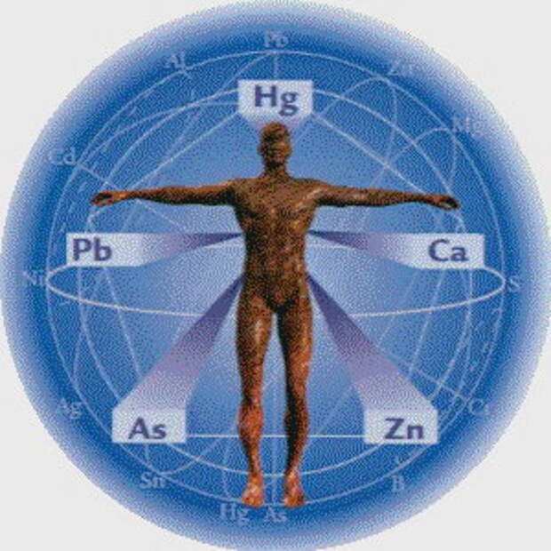 Минеральный обмен. Химические элементы в организме человека. Элементы минерального обмена. Элементов для красоты здоровья нашего организма.