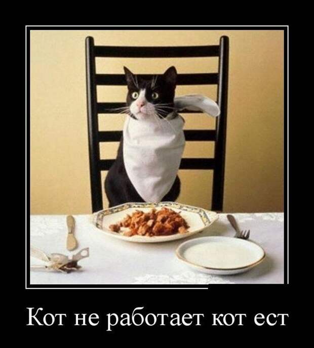 Демотиваторы демотиваторы, прикол, смех, юмор