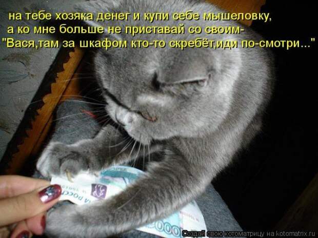 Мысли вслух :)