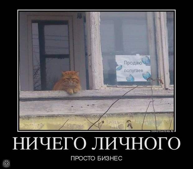 Иногда проще сказать правду... 11