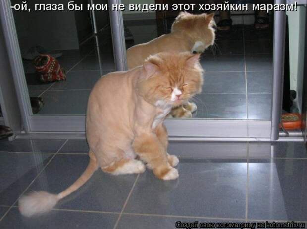 Мысли вслух :)