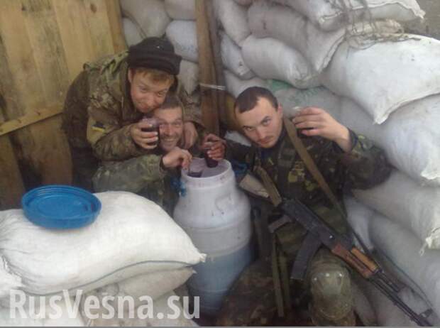 Нарочно не придумаешь: украинские военные попались в ловушку собственной глупости | Русская весна