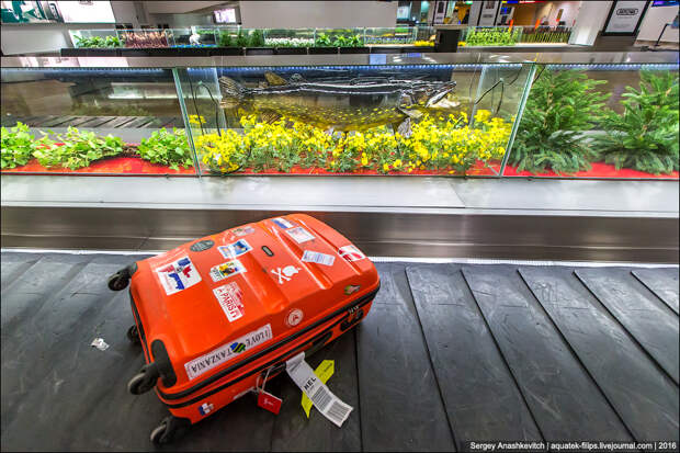 Аэропорт Хельсинки / Helsinki Airport