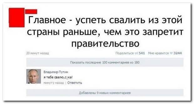 Смешные комментарии из соцсетей комментарии, прикол, смешно, соцсети, юмор