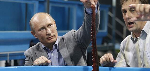Russian President Putin visits an oceanarium on the Russky Island in Vladivostok