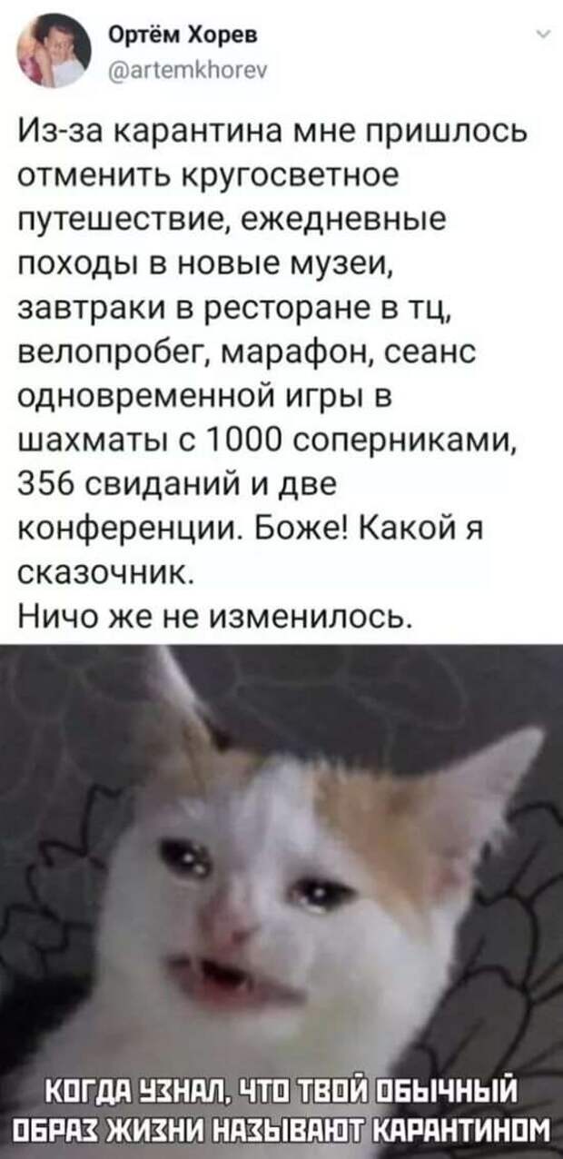 Смешные комментарии. Подборка chert-poberi-kom-chert-poberi-kom-39560217102020-14 картинка chert-poberi-kom-39560217102020-14