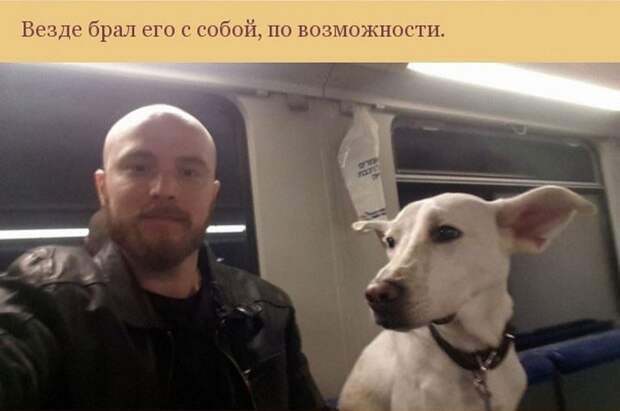 собака