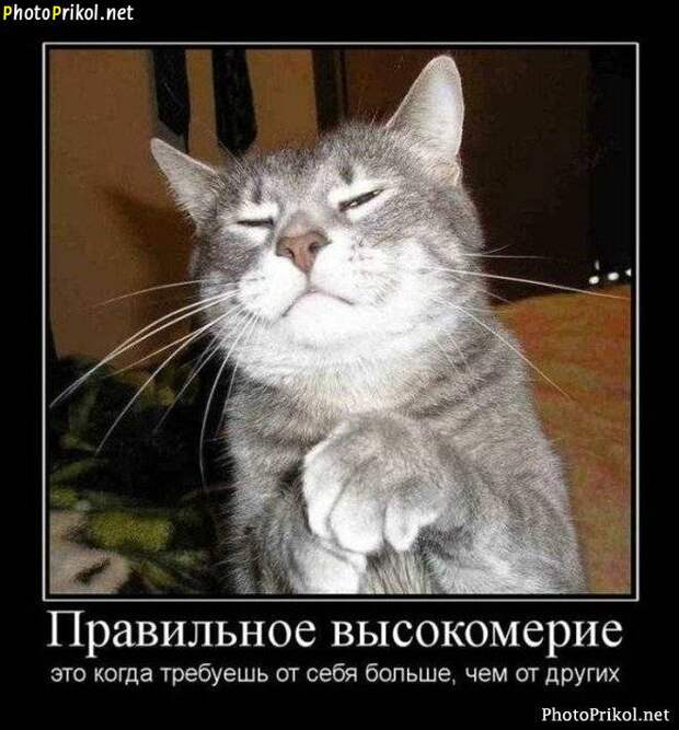 Смешные и прикольные демотиваторы (30 демотиваторов) Смешные и прикольные демотиваторы (30 демотиваторов)