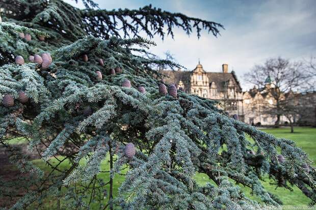 Oxford. Оксфордский университет. Рождественский день знаний Oxford33 Oxford. Оксфордский университет. Рождественский день знаний