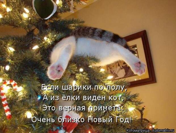 Мысли вслух - Ожидание Нового года