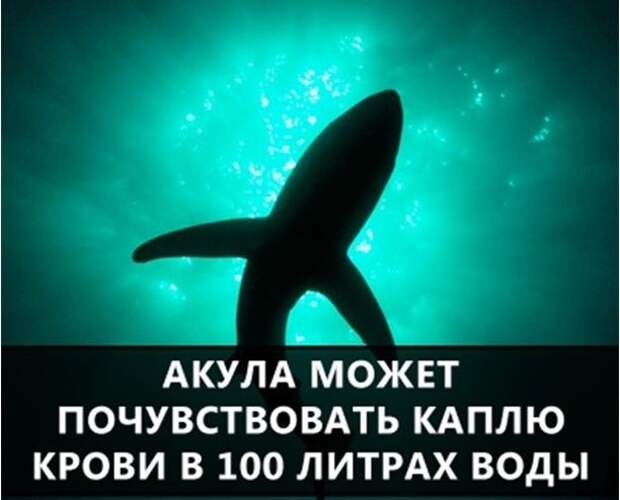 О самых интересных фактах в мире