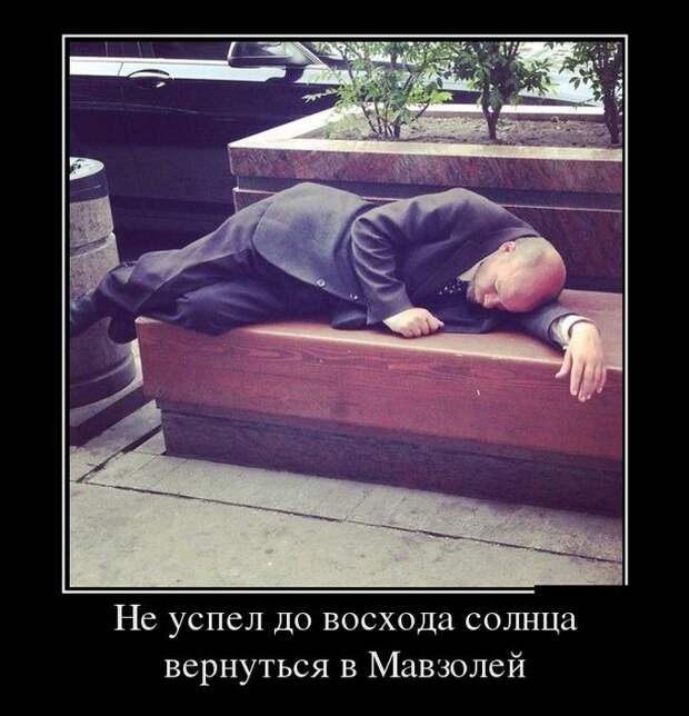 Демотиваторы (30 фото)